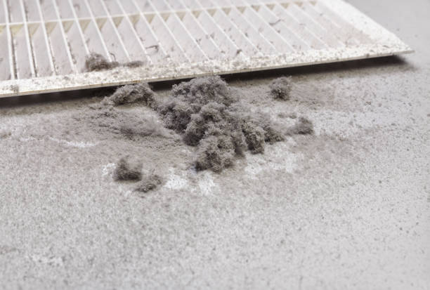 Best Affordable Duct Cleaning Services  in Brookfield, MO