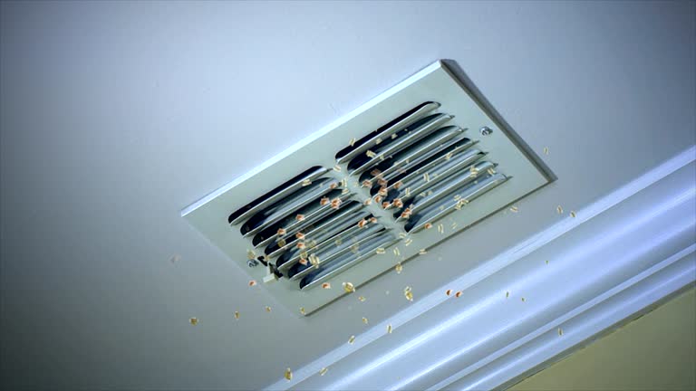 Best Duct Cleaning for Offices  in Brookfield, MO