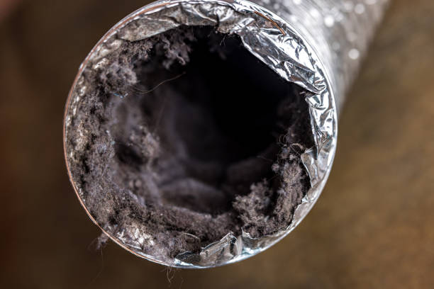 Best Ductwork Cleaning Services  in Brookfield, MO